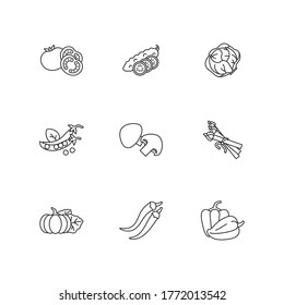 Veggie pixel perfect linear icons set. Sliced cucumber. Fresh tomato to prepare ketchup. Lettuce head. Customizable thin line contour symbols. Isolated vector outline illustrations. Editable stroke