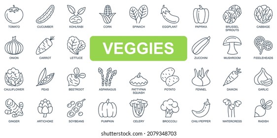 Veggies concept simple line icons set. Bundle of tomato, cucumber, spinach, eggplant, cabbage, onion, carrot, pumpkin, beetroot and other. Vector pack outline symbols for website or mobile app design