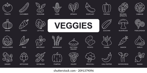 Veggies concept simple line icons set. Bundle of tomato, cucumber, spinach, eggplant, cabbage, onion, carrot, pumpkin, beetroot and other. Vector pack outline symbols for website or mobile app design