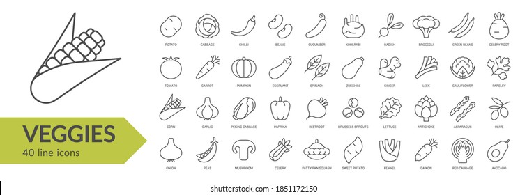 Juego de iconos de línea de verduras. Signos aislados sobre fondo blanco. Ilustración del vector