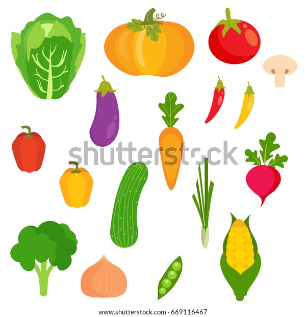 Veggies Vector Stock Vector (Royalty Free) 669116467