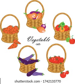 Conjunto vegetal. Zanahoria, berenjena, campana de papel, cebolla, tomate en diseño de cesta de mimbre material gráfico vectorial para el diseño de productos, para el embalaje, para la web, para la impresión