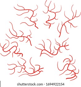 Vena y arteria. Sistema circulatorio humano. Sangre y capilares. Línea roja. Elemento de la piel y los ojos. Flujo y sangrado.Ilustración plana