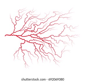 vein blood system vector symbol icon design. Beautiful illustration isolated on white background