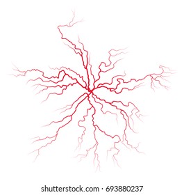 vein blood system vector symbol icon design. Beautiful illustration isolated on white background