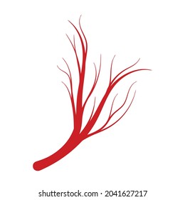 La vena del icono de la caricatura del vector humano. Arteria de la sangre de la ilustración vectorial sobre fondo blanco. Icono aislado de ilustración de caricatura de vena humana .