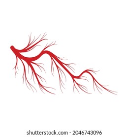 La vena del icono de la caricatura del vector humano. Arteria de la sangre de la ilustración vectorial sobre fondo blanco. Icono aislado de ilustración de caricatura de vena humana .
