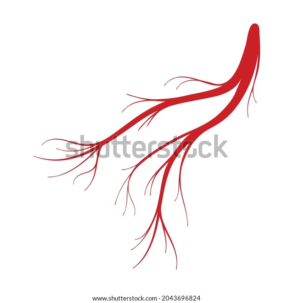 Vein Human Vector Cartoon Icon Vector Stock Vector (Royalty Free ...