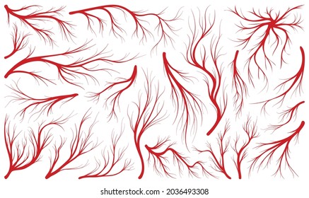 Vein of human vector line icon set . Collection vector illustration artery of blood on white background. Isolated line illustration icon set of vein for web design.