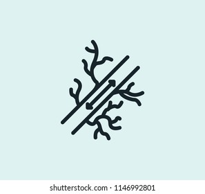 Vein icon line isolated on clean background. Vein icon concept drawing icon line in modern style. Vector illustration for your web mobile logo app UI design.