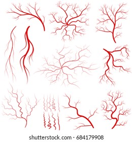 Vein Set, Human Vessel, Blood Arteries, Eye Veins Silhouette, Health Red Artery System. Vector