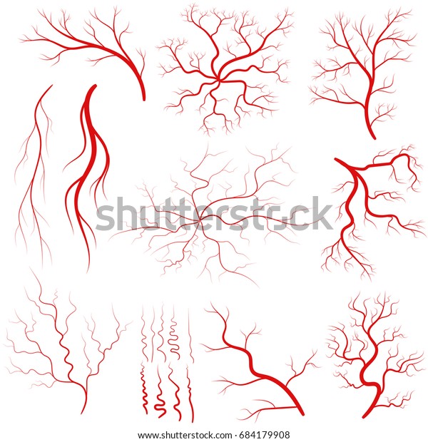 Vein set, Human vessel, blood\
arteries, eye veins silhouette, health red artery system.\
Vector