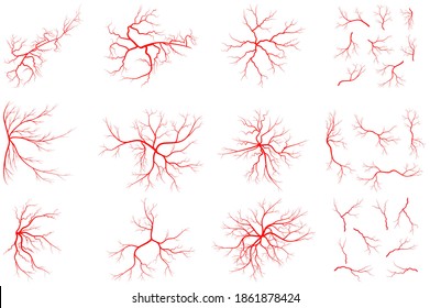 Vein set illustration isolated on white background. Collection of human blood system graphic. Red vessel, arteries design. Anatomical icon group. Vector shape of artery. Eps 10 abstract symbols.