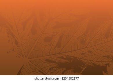 vein texture of dry papaya leaf as background vector