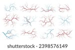 Veins and arteries. Human vascular system and blood vessels, red capillary vessels with stream of blood, healthy cardiovascular system. Vector set of anatomy artery vascular illustration