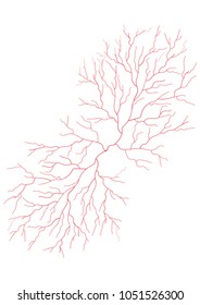 veins of the circulatory system vector icon design.