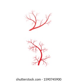 Veins icon Vector Illustration design Logo template