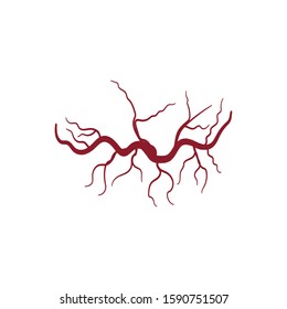 Veins icon Vector Illustration design Logo template