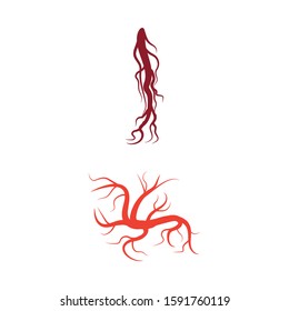 Veins icon Vector Illustration design Logo template