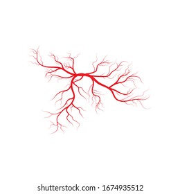 Icono de venas Plantilla de diseño de ilustración de vectores