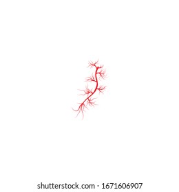 Características del símbolo vectorial de la plantilla de logotipo venas