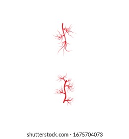 Veins Logo Template vector symbol nature
