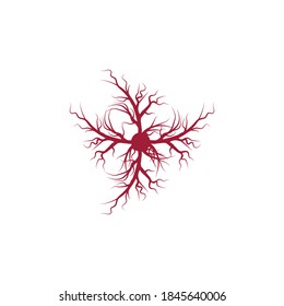 Venen Logo-Vorlage Vektorsymbol-Natur