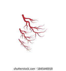 Naturaleza del símbolo vectorial de la plantilla de logotipo de venas
