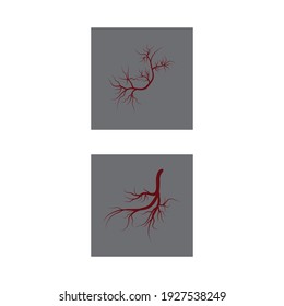 Símbolo vano de plantilla de logotipo de diseño médico vectorial