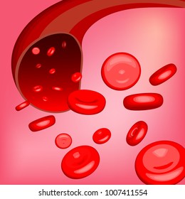 Veins and red blood cells vector