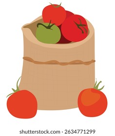  Tomates ektor em sacos. um saco com Tomatos. Veggies em um grande saco marrom