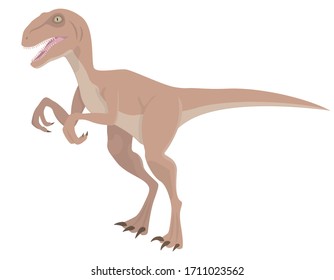 Velociraptor im Cartoon-Stil. Raubtier-Dinosaurier einzeln auf weißem Hintergrund.