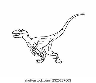 Velociraptor para colorear a los niños. Línea de un dinosaurio carnívoro sobre fondo blanco. Dibujo de Velociraptor.