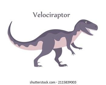 Velociraptor with dangerous claws. Predatory dinosaur of the Jurassic period. Strong hunter. Vector cartoon isolated illustration. White background