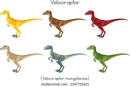 Velociraptor in different colors illustration