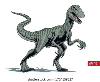 Velociraptor dinosaur, comic style vector illustration