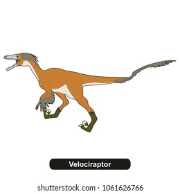 Velociraptor Dinosaur Extinct Animal