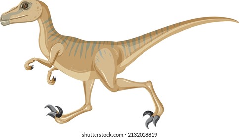 Velociraptor dinosaur on white background illustration