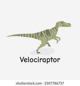 Velociraptor Dinosaur Vector Illustration with Agile Predator