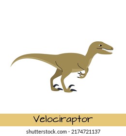 Velociraptor dinosaur vector illustration isolated on white background.
