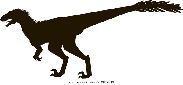 Velociraptor with feathers, silhouette