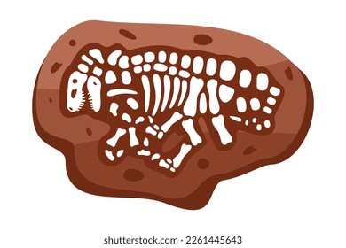 Velociraptor fossils skeleton. Velociraptor fossil bones. Dinosaur skeleton. Dinosaur bones with skull. Paleontology and archeology.