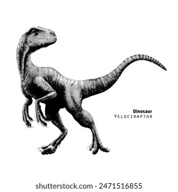 Velociraptor. Ilustración vectorial de puntillismo. Blanco y negro. Dinosaurio depredador