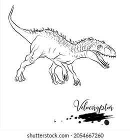 Velociraptor, realistic sketch dinosaur, vector illustration