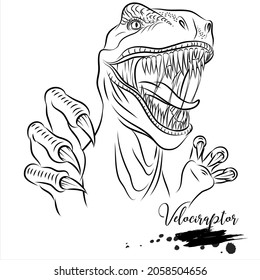 Velociraptor, realistic sketch dinosaur, vector illustration
