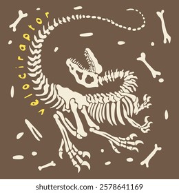 Velociraptor skeleton vector illustration graphic