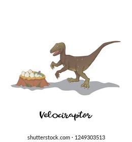 Velocuraptor with nest  dinosaur eggs  isolated ona white background.Wild  hanter predator