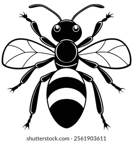 Velvet Ant insect flat vector illustration on white background