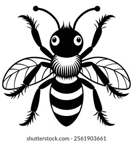 Velvet Ant insect flat vector illustration on white background