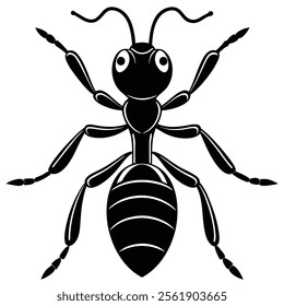 Velvet Ant insect flat vector illustration on white background